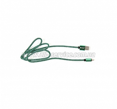  PowerPlant USB 2.0 AM - Micro B, 1 green (CA910229)