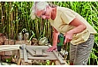  Bosch EasyDrill 1200, 12, 11.5, ,  (0.603.9D3.006)