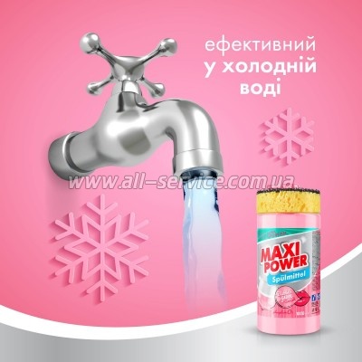 �������� ��� ������� ����� ������ Maxi Power ���� ��� 1000 �� (4823098408505)