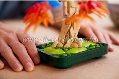 ����������� LEGO Botanicals ������ �� ��������� �������� ����� (10348)