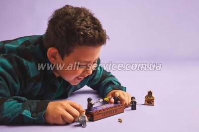  LEGO Harry Potter  :   (76441)