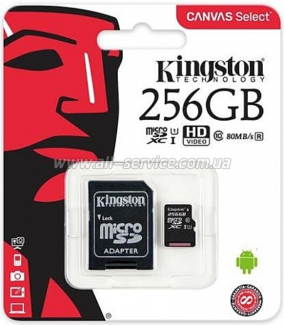   256GB Kingston microSDXC C10 UHS-I + SD  (SDCS/256GB)