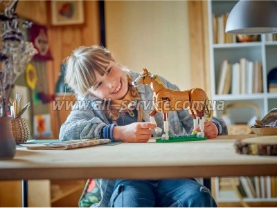 ����������� LEGO Creator ���������� ��� (31166)
