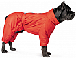  Pet Fashion Cold M  (4823082426119)