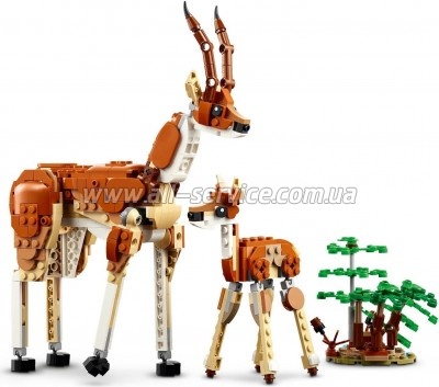 ����������� LEGO Creator ����� �������� ������ 780 ������� (31150)