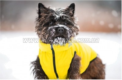  Collar AiryVest "Colors of freedom" XS 25 (4440-4020)