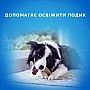    Purina DentaLife Medium      115 (7613035379794)