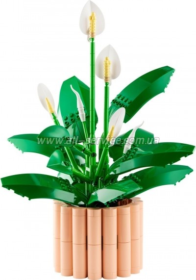 ����������� LEGO Botanicals ���������� (11504)