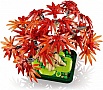 ����������� LEGO Botanicals ������ �� ��������� �������� ����� (10348)