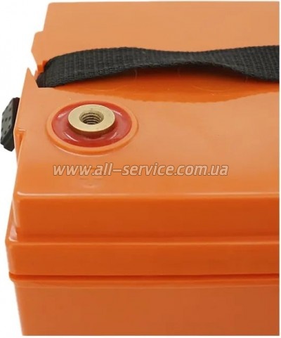    Merlion 12V-100 Ah GEL (GL121000M8 GEL)