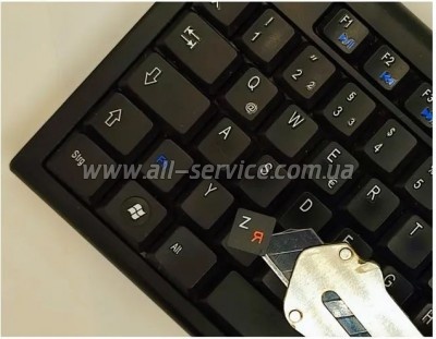 �������� �� ��������� BestKey ��������� �����, 68, ������������ (BK13ORA/024)