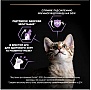     Purina Pro Plan Original Kitten   10 (7613036505307)