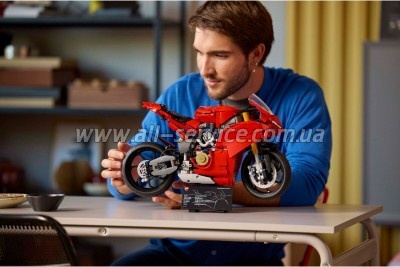 ����������� LEGO Technic �������� Ducati Panigale V4 S (42202)
