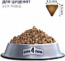     Club 4 Paws        14 (4820083909696/ 4820215368476)