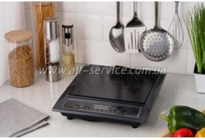   Ardesto ICS-B100