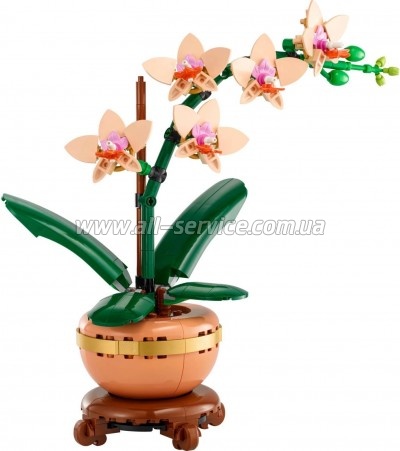 ����������� LEGO Botanicals ̳�� ������� (10343)