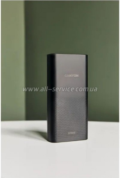 ������� ������������� Canyon PB-2001 20000mAh PD 10W Black (CNE-CPB2001B)