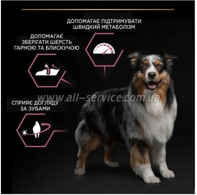    Purina Pro Plan Dog Medium Adult Sensitive Skin     14 (7613035120464)