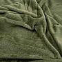 Плед Ardesto Flannel зеленый 200х220см (ART0212SB) Плед Ardesto Flannel зеленый 200х220см (ART0212SB)