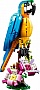  LEGO Creator   253  (31136)