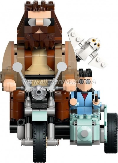 ����������� LEGO Harry Potter ������� ������� � ����� �� ��������� (76443)