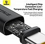 ���� ������ USB AM to USB-C 2.0m 60W black/gold Baseus (P10377802U01-02)
