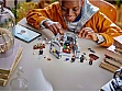  LEGO Harry Potter  :   (76431)