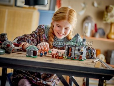  LEGO Harry Potter  :   896  (76428)