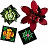  LEGO Botanicals  (10309-)