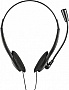  Trust Primo Chat 3.5mm BLACK (21665)