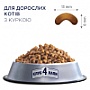     Club 4 Paws     14  (4820083909146)