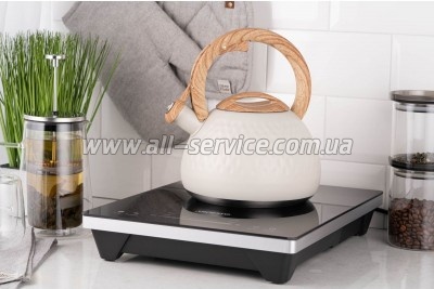  Ardesto Gemini 2.5  (AR1956KS)