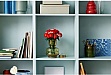  LEGO Icons   (10328)