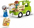 ����������� LEGO DUPLO Town ���� �� ������� � ������ 22 ������� (10419)