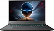  Thunderobot 911 X17 (911X17-i7136H56C1Q165MBD)