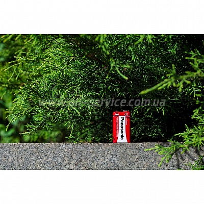  Panasonic RED ZINK 6F22 BLI 1 (6F22REL/1BP)