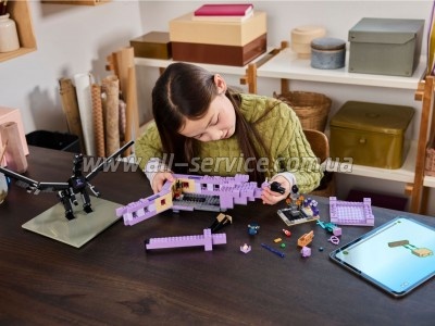  LEGO Minecraft      (21264)