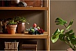  LEGO Botanicals  (10309-)
