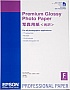  Epson Premium Glossy 255 /  A2 25 (C13S042091)