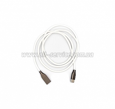  PowerPlant USB - Type-C, 1 White (CA910717)