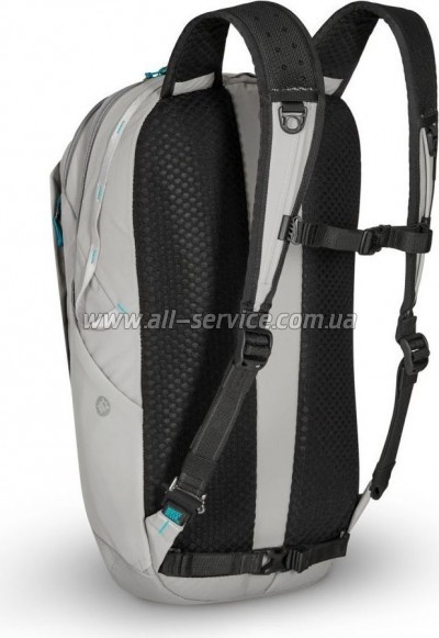 ������ ������������� Pacsafe Eco 25L ���� (41101145)