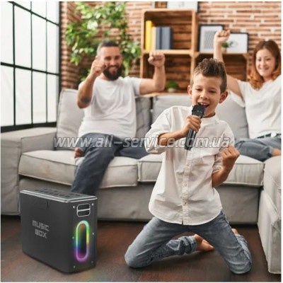   HiFuture MusicBox 100W Silver (musicbox.silver)