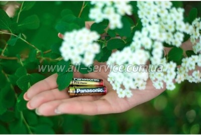  Panasonic Pro Power AAA BL2 (LR03XEG/2BP)