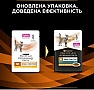    Purina Pro Plan Veterinary Diets NF Renal Function Advanced Care      10 x 85  (7613287873644)