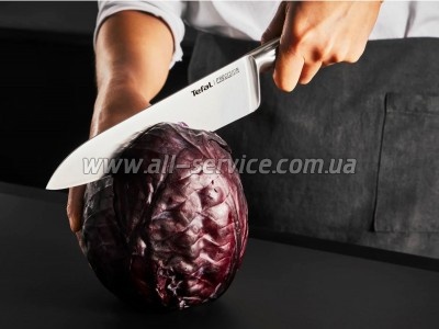 ��� Tefal Precision 20�� (K2890224)