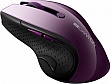  Canyon CNS-CMSW01P Wireless Purple/Black (CNS-CMSW01P)