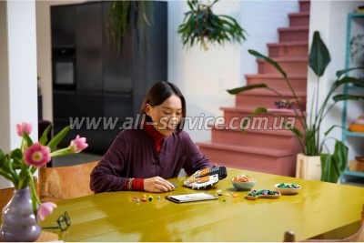  LEGO Art   -  (31217)