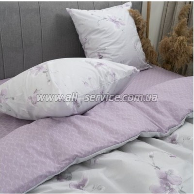   Viluta 24253   (24253_sm)