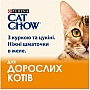     Purina Cat Chow Adult       85 (7613036595049)