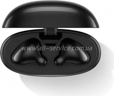  Lenovo E310 True Wireless Stereo Earbuds standalone Black (GXD1Q65146)